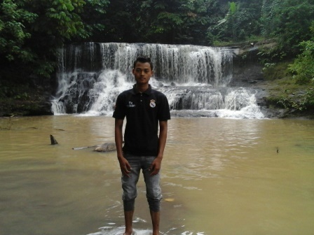 31wepo
